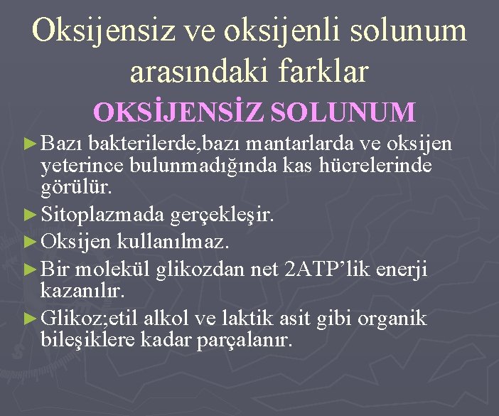 Oksijensiz ve oksijenli solunum arasındaki farklar OKSİJENSİZ SOLUNUM ► Bazı bakterilerde, bazı mantarlarda ve