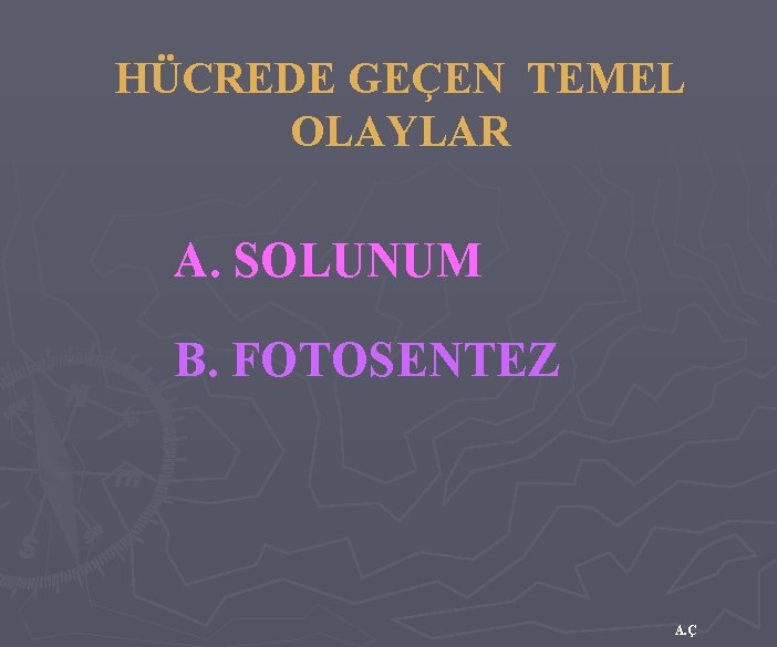 HÜCREDE GEÇEN TEMEL OLAYLAR A. SOLUNUM B. FOTOSENTEZ A. Ç 