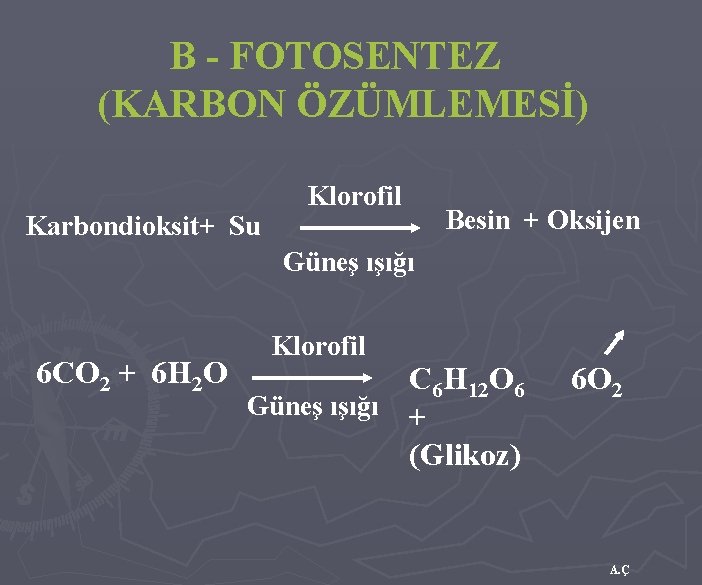 B - FOTOSENTEZ (KARBON ÖZÜMLEMESİ) Karbondioksit+ Su Klorofil Besin + Oksijen Güneş ışığı 6