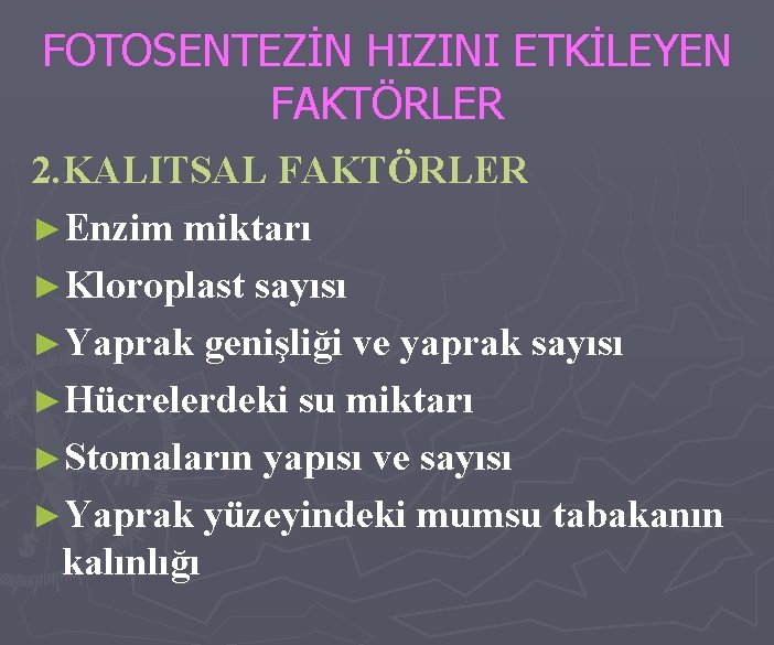 FOTOSENTEZİN HIZINI ETKİLEYEN FAKTÖRLER 2. KALITSAL FAKTÖRLER ►Enzim miktarı ►Kloroplast sayısı ►Yaprak genişliği ve