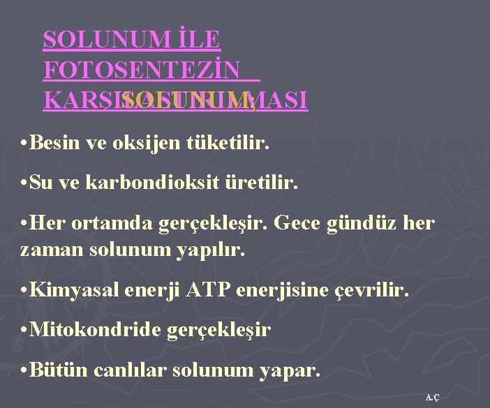 SOLUNUM İLE FOTOSENTEZİN KARŞILAŞTIRILMASI SOLUNUM; • Besin ve oksijen tüketilir. • Su ve karbondioksit