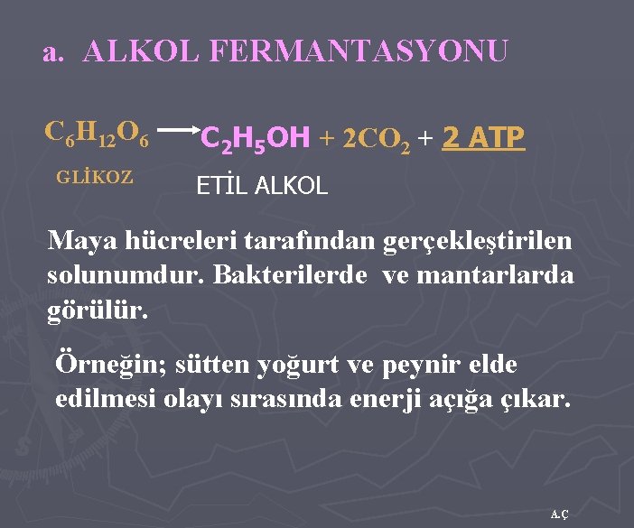 a. ALKOL FERMANTASYONU C 6 H 12 O 6 GLİKOZ C 2 H 5