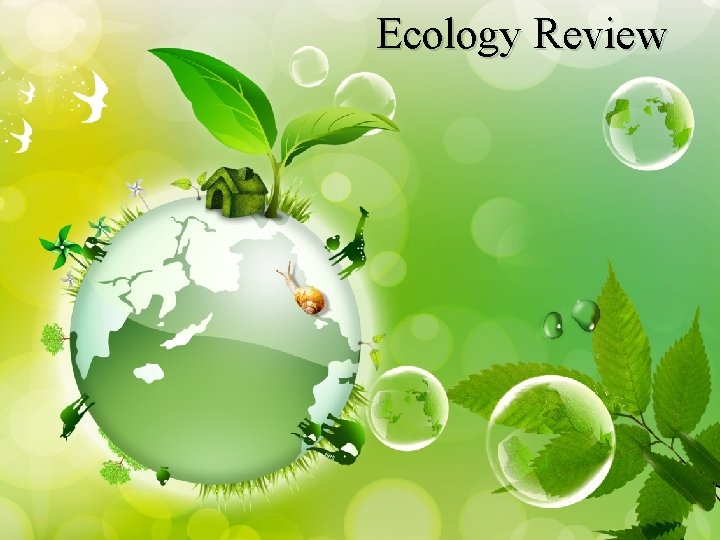 Ecology Review Ecology Review