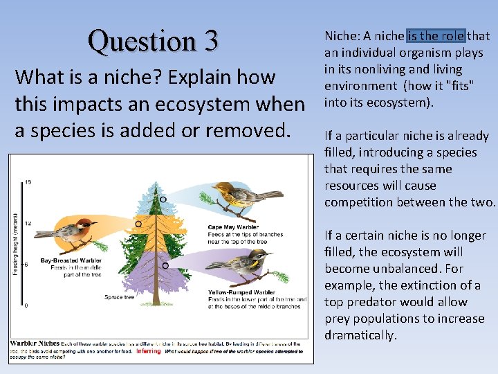 Question 3 What is a niche? Explain how this impacts an ecosystem when a Question 3 What is a niche? Explain how this impacts an ecosystem when a