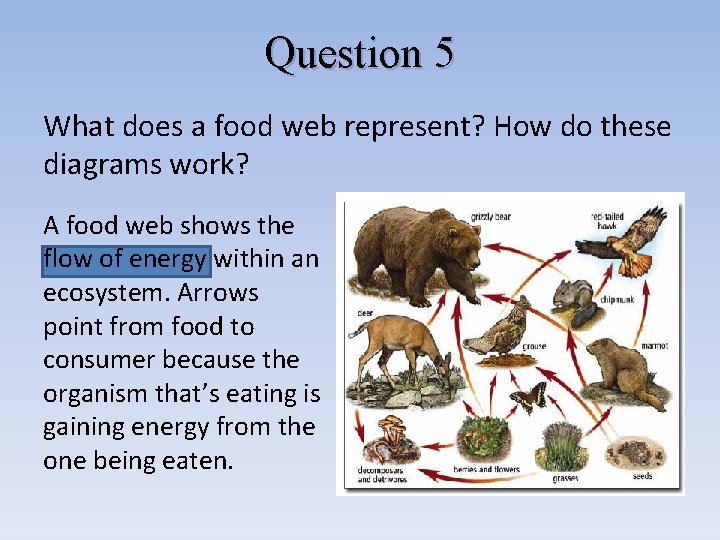 Question 5 What does a food web represent? How do these diagrams work? A Question 5 What does a food web represent? How do these diagrams work? A