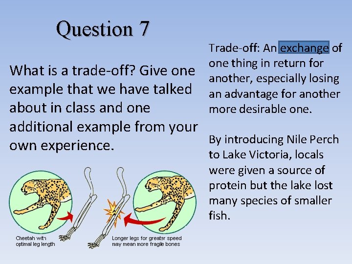 Question 7 Trade-off: An exchange of one thing in return for another, especially losing Question 7 Trade-off: An exchange of one thing in return for another, especially losing
