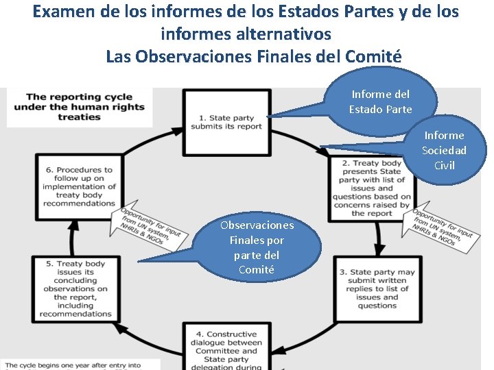 Examen de los informes de los Estados Partes y de los informes alternativos Las