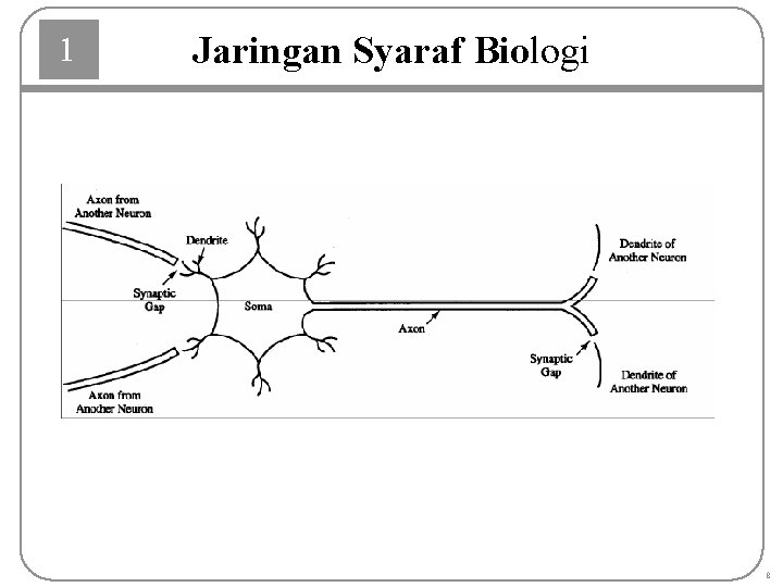 1 Jaringan Syaraf Biologi 8 