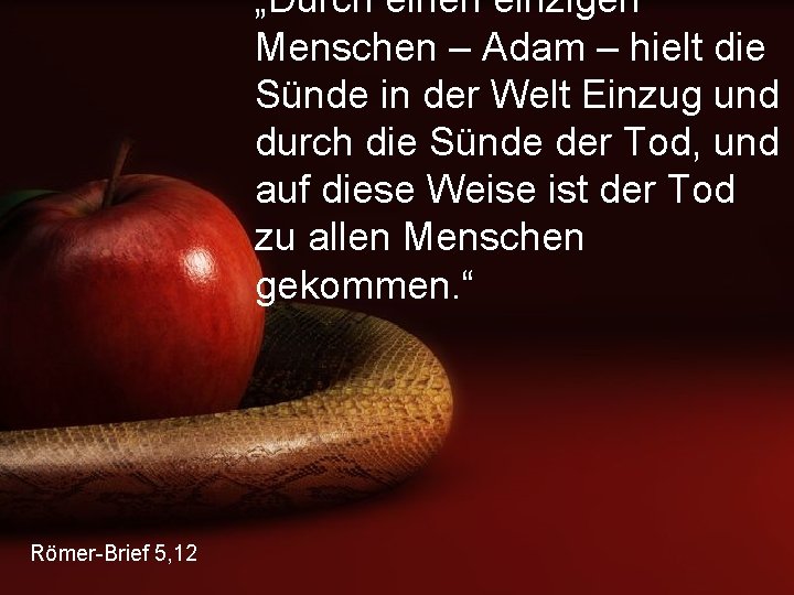 „Durch einen einzigen Menschen – Adam – hielt die Sünde in der Welt Einzug