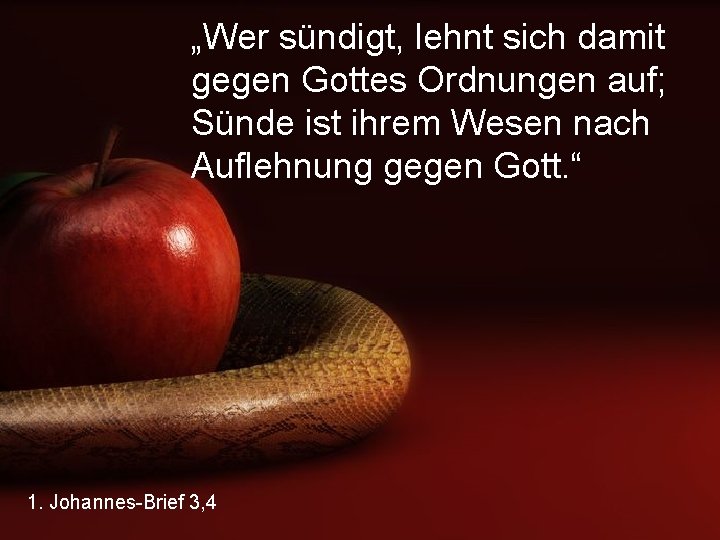 „Wer sündigt, lehnt sich damit gegen Gottes Ordnungen auf; Sünde ist ihrem Wesen nach