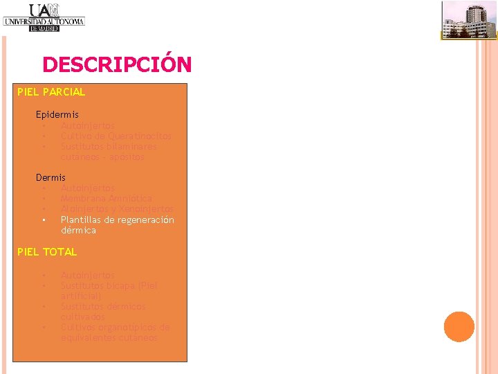 DESCRIPCIÓN PIEL PARCIAL Epidermis • Autoinjertos • Cultivo de Queratinocitos • Sustitutos bilaminares cutáneos