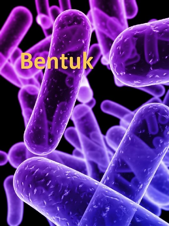 Bentuk 