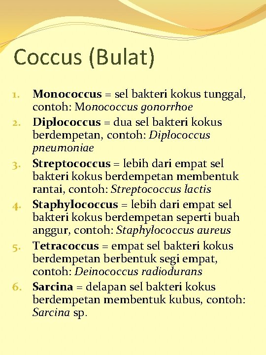 Coccus (Bulat) 1. 2. 3. 4. 5. 6. Monococcus = sel bakteri kokus tunggal,