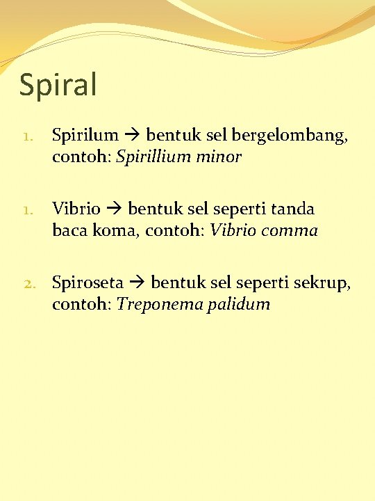 Spiral 1. Spirilum bentuk sel bergelombang, contoh: Spirillium minor 1. Vibrio bentuk sel seperti