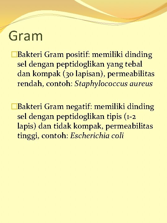 Gram �Bakteri Gram positif: memiliki dinding sel dengan peptidoglikan yang tebal dan kompak (30