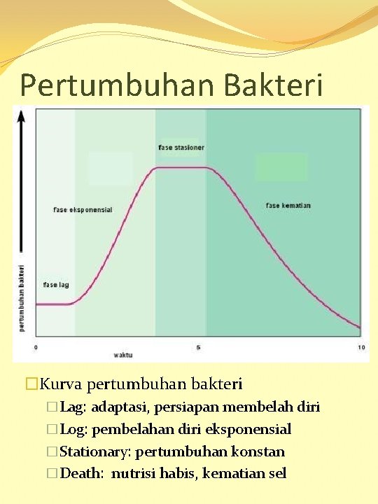 Pertumbuhan Bakteri �Kurva pertumbuhan bakteri �Lag: adaptasi, persiapan membelah diri �Log: pembelahan diri eksponensial