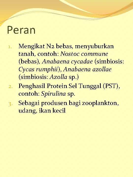 Peran Mengikat N 2 bebas, menyuburkan tanah, contoh: Nostoc commune (bebas), Anabaena cycadae (simbiosis: