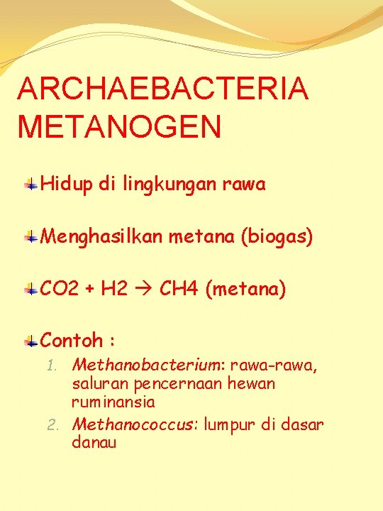 ARCHAEBACTERIA METANOGEN Hidup di lingkungan rawa Menghasilkan metana (biogas) CO 2 + H 2