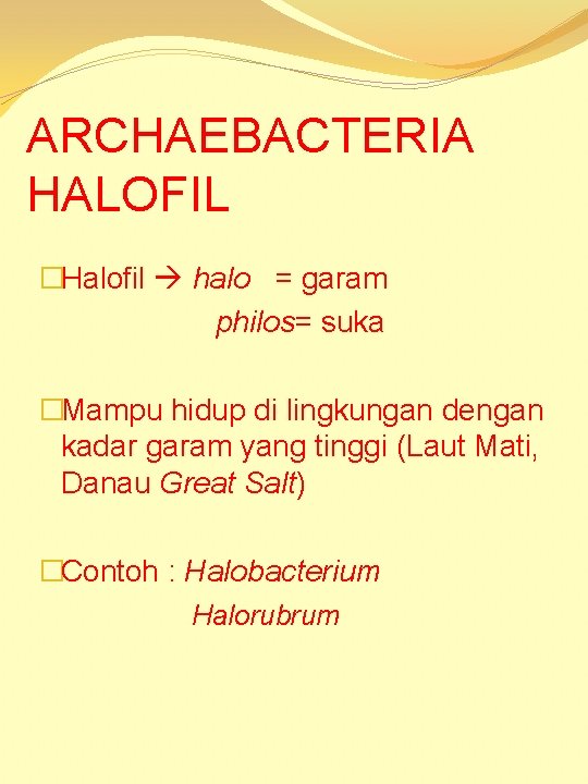 ARCHAEBACTERIA HALOFIL �Halofil halo = garam philos= suka �Mampu hidup di lingkungan dengan kadar