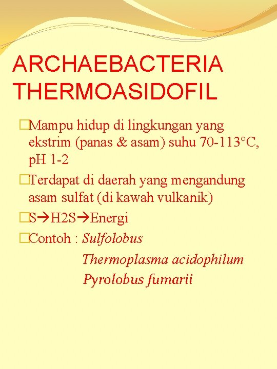 ARCHAEBACTERIA THERMOASIDOFIL �Mampu hidup di lingkungan yang ekstrim (panas & asam) suhu 70 -113°C,