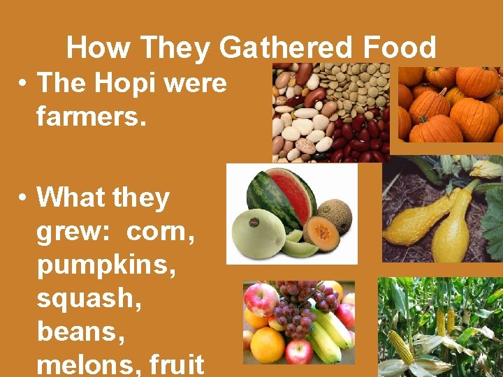 How They Gathered Food • The Hopi were farmers. • What they grew: corn,