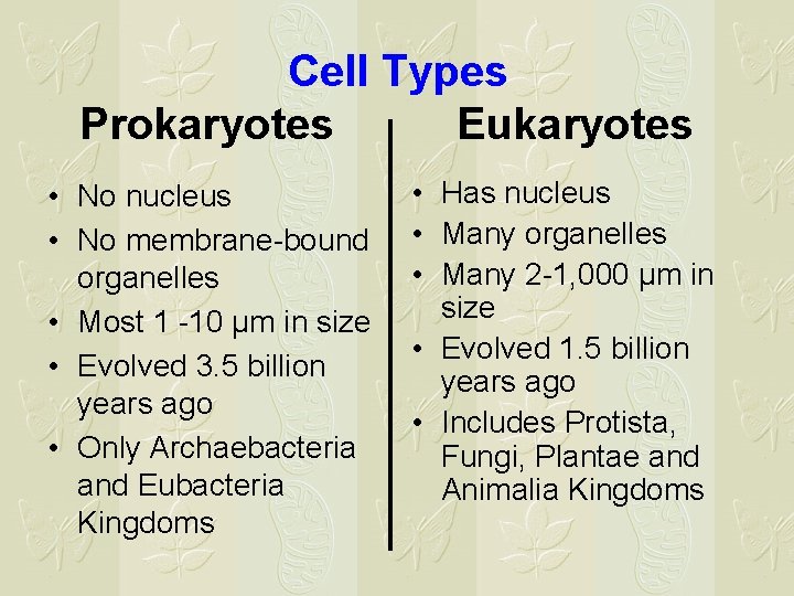Cell Types Prokaryotes Eukaryotes • No nucleus • No membrane-bound organelles • Most 1