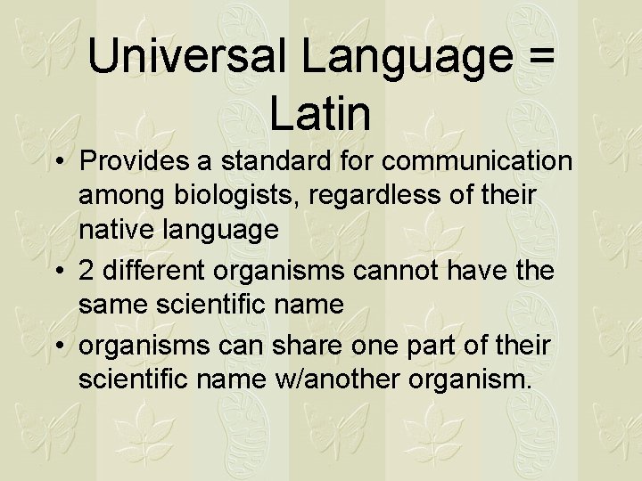 Universal Language = Latin • Provides a standard for communication among biologists, regardless of