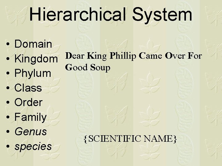 Hierarchical System • • Domain Kingdom Dear King Phillip Came Over For Good Soup