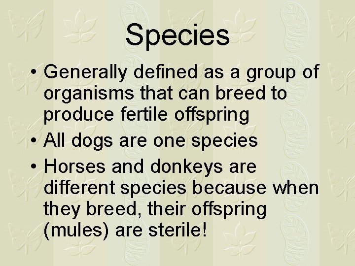 Species • Generally defined as a group of organisms that can breed to produce