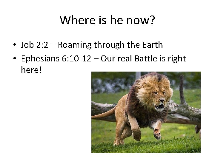 Where is he now? • Job 2: 2 – Roaming through the Earth •