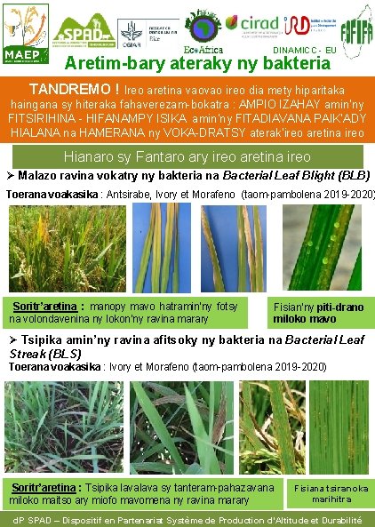 DINAMICC - EU Aretim-bary ateraky ny bakteria TANDREMO ! Ireo aretina vaovao ireo dia