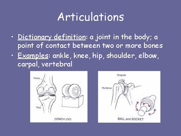 Articulations • Dictionary definition: a joint in the body; a point of contact between