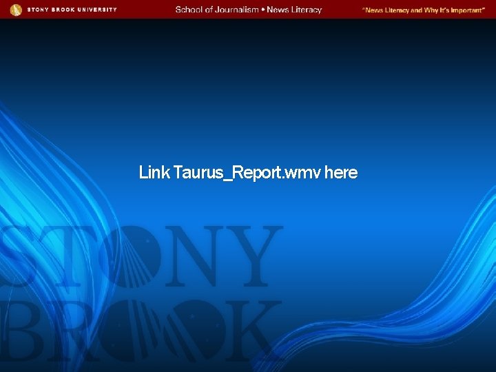 Link Taurus_Report. wmv here 