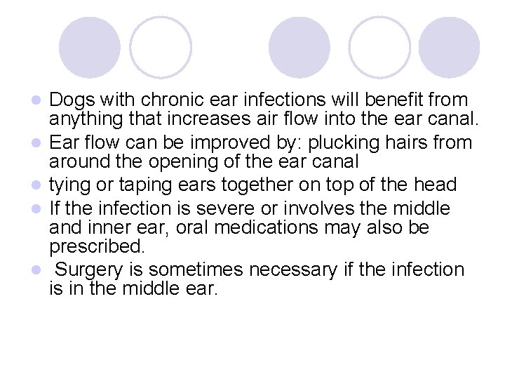 l l l Dogs with chronic ear infections will benefit from anything that increases