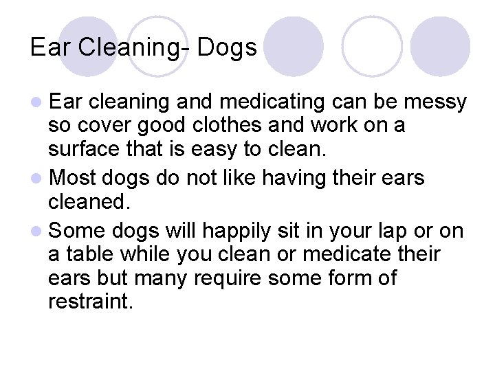 Ear Cleaning- Dogs l Ear cleaning and medicating can be messy so cover good