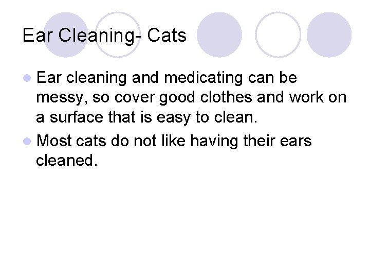 Ear Cleaning- Cats l Ear cleaning and medicating can be messy, so cover good