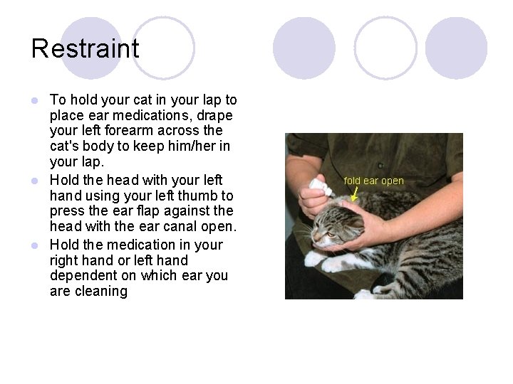Restraint To hold your cat in your lap to place ear medications, drape your