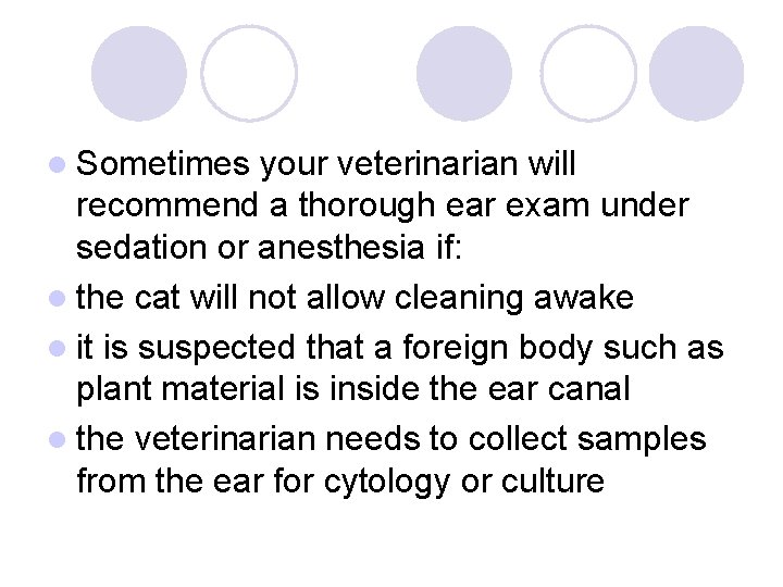 l Sometimes your veterinarian will recommend a thorough ear exam under sedation or anesthesia