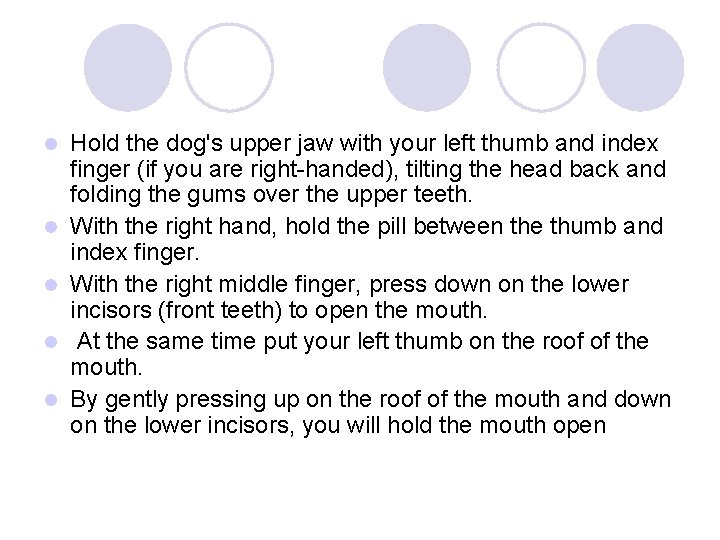 l l l Hold the dog's upper jaw with your left thumb and index