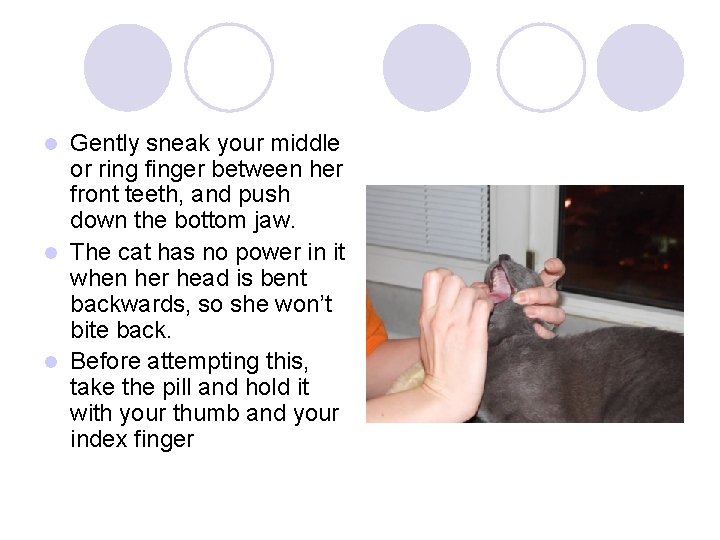 Gently sneak your middle or ring finger between her front teeth, and push down