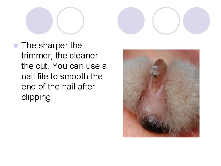 l The sharper the trimmer, the cleaner the cut. You can use a nail