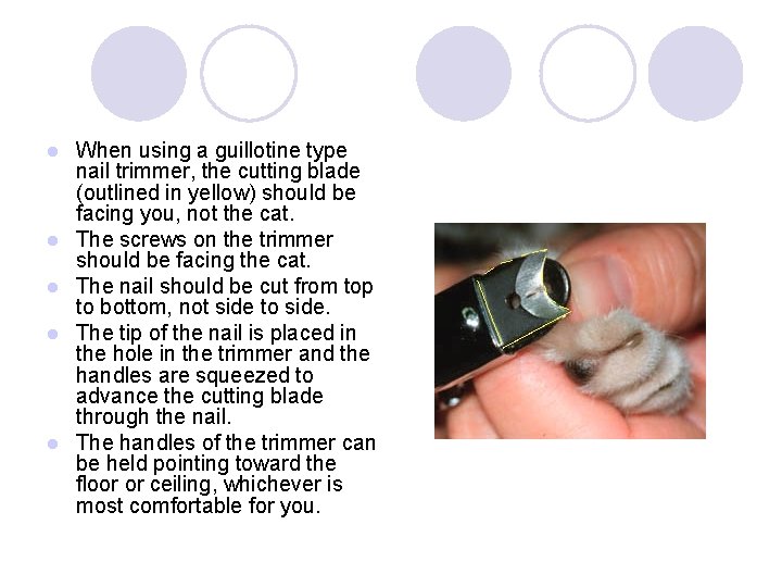 l l l When using a guillotine type nail trimmer, the cutting blade (outlined