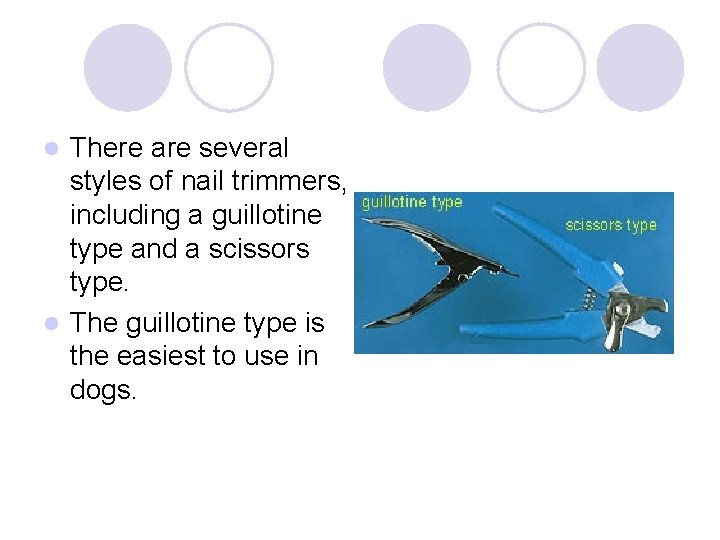 There are several styles of nail trimmers, including a guillotine type and a scissors