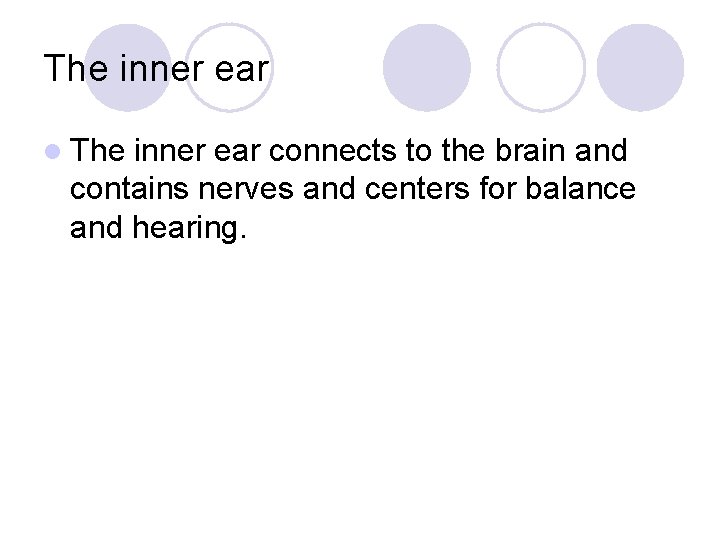 The inner ear l The inner ear connects to the brain and contains nerves