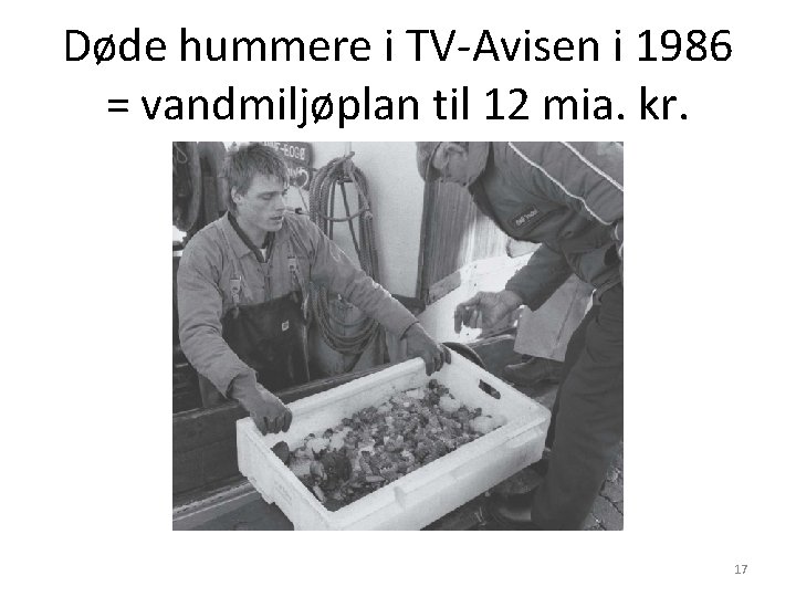 Døde hummere i TV-Avisen i 1986 = vandmiljøplan til 12 mia. kr. 17 