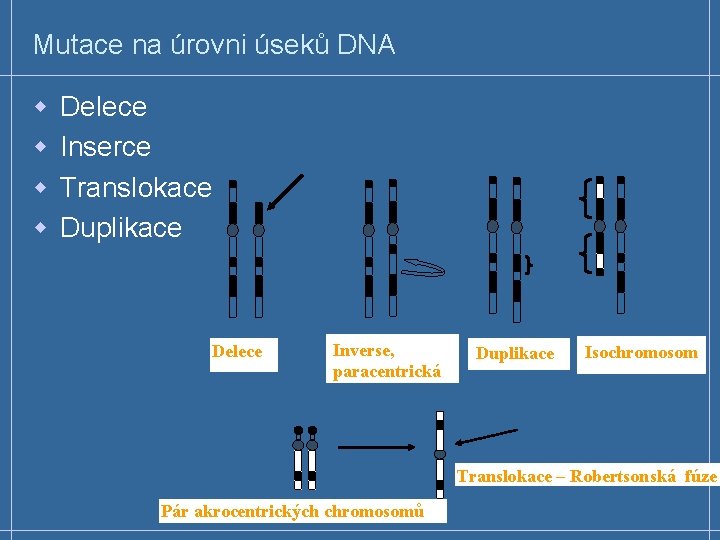 Mutace na úrovni úseků DNA w w Delece Inserce Translokace Duplikace Delece Inverse, paracentrická