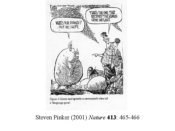 Steven Pinker (2001) Nature 413: 465 -466 