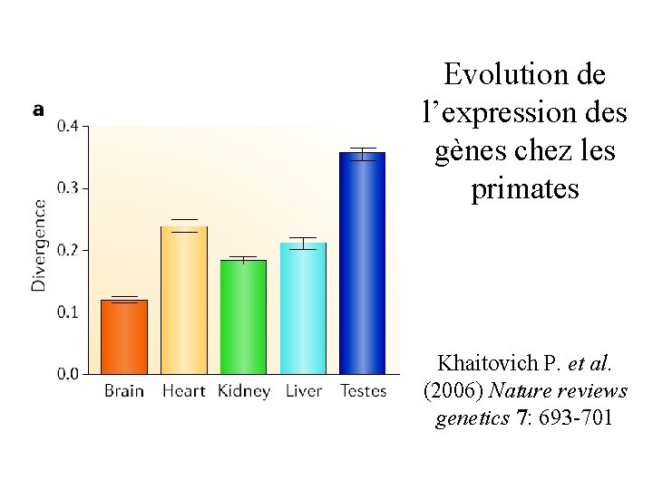 Evolution de l’expression des gènes chez les primates Khaitovich P. et al. (2006) Nature