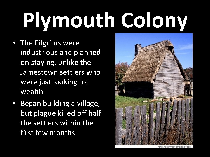 Plymouth Colony • The Pilgrims were industrious and planned on staying, unlike the Jamestown