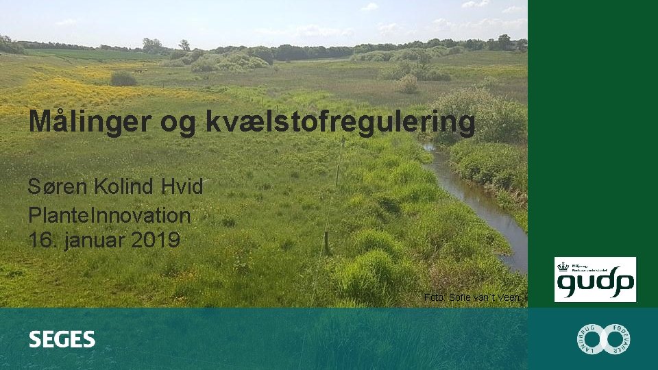 Målinger og kvælstofregulering Søren Kolind Hvid Plante. Innovation 16. januar 2019 Foto: Sofie van´t